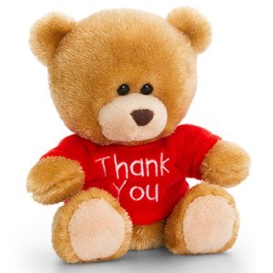 Thank You Teddy Bear