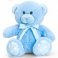 Baby Boy Blue Bear